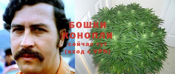 гидра Армянск